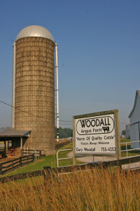 Woodall sign III